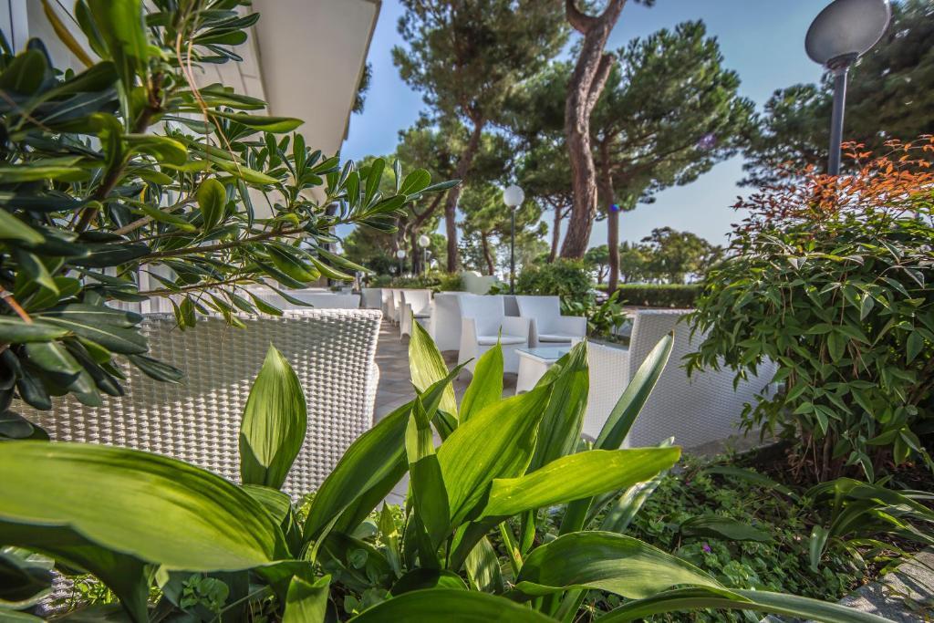 Ciccio Hotel Misano Adriatico Eksteriør bilde
